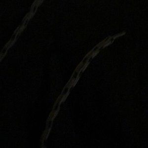 Meet your Posher, Willlam